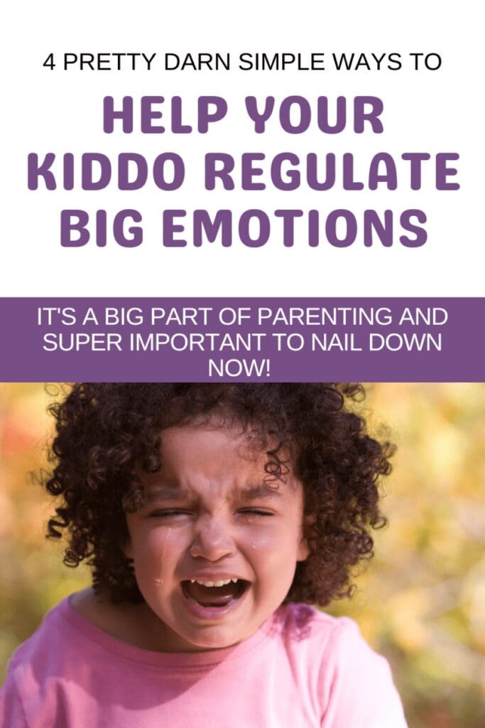 Help your child develop healthy emotional regulation skills with these 5 effective strategies. From understanding your child's emotional development to modeling and teaching healthy coping strategies, these tips will help create a safe and supportive environment for your child to manage their emotions in a healthy way. Click to read more! #parenting #emotionalregulation #kidshealth