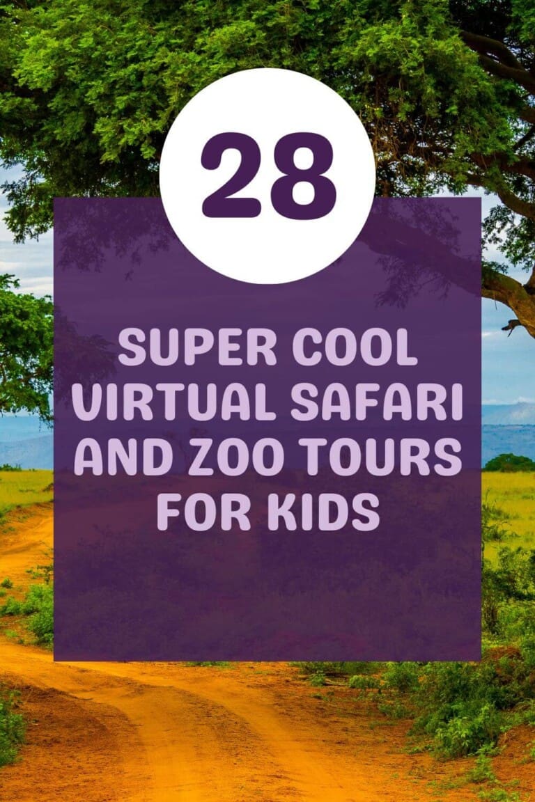 28 Super Cool Virtual Safari And Zoo Tours For Kids