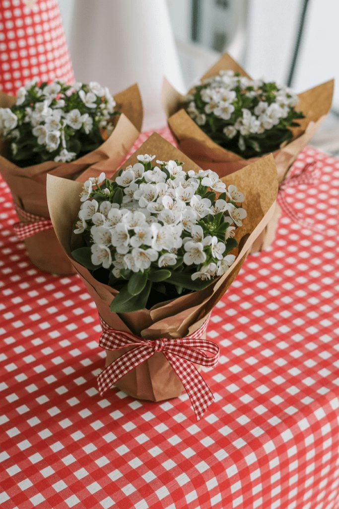 Small potted white flowers wrapped in kraft paper with gingham ribbon as a table favor