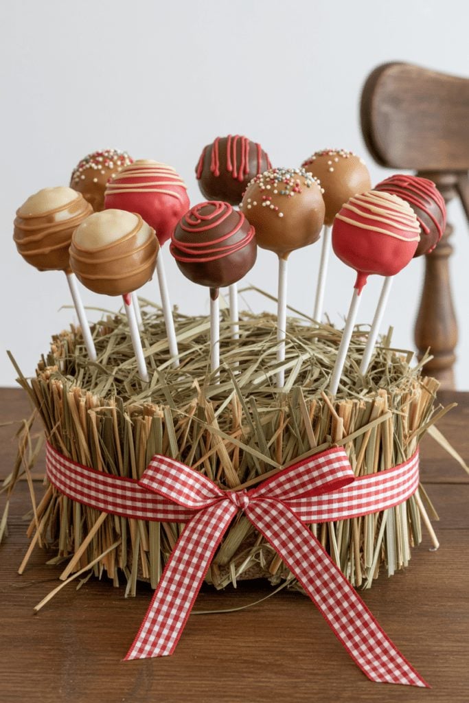 Cake pops displayed in a rustic hay bale holder wrapped with gingham ribbon