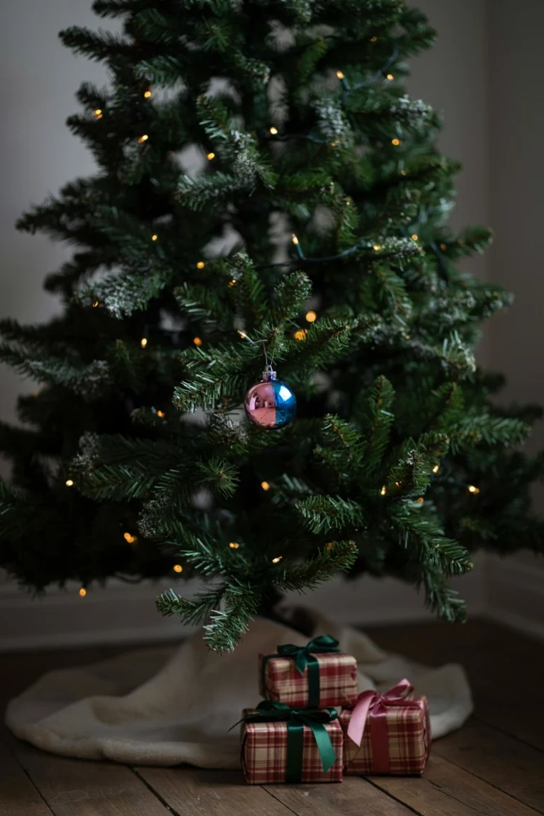 25 Christmas Gender Reveal Ideas That Turn the Holidays Into the Best Surprise Yet