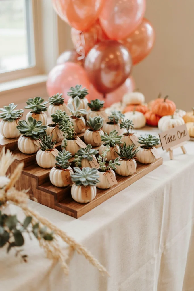 Small ceramic pumpkin planters with mini succulents as party favors
