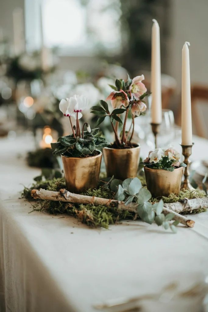 Small potted white cyclamen, hellebores, or winter pansies (in white and blush) arranged as centerpieces with moss, twigs, and subtle gold pot covers. Natural, organic, winter-appropriate
