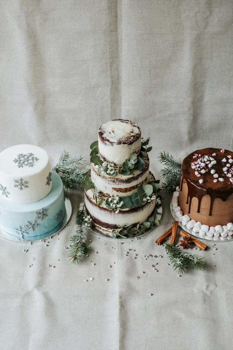 20 Winter Baby Shower Cake Ideas for Every Budget and Skill Level